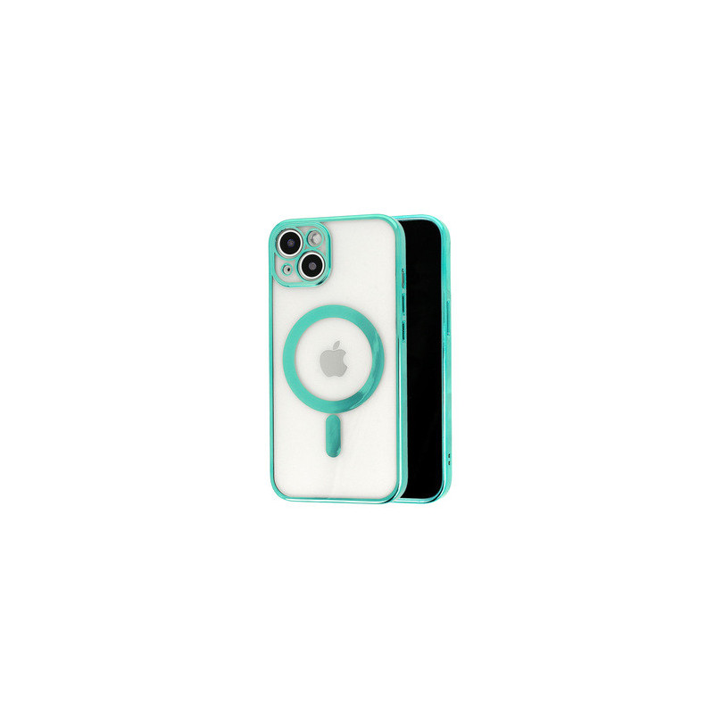 Tel Protect Magsafe Luxury Case for Iphone 11 Pro Mint